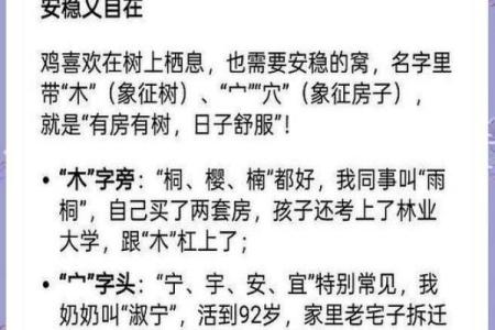 上午出生的属鸡男孩取名字适合用什么字姓名