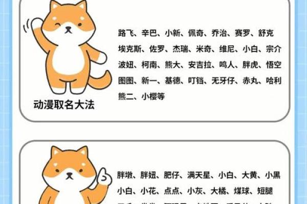 下午五点出生的属狗男孩取什么名，适合什么字姓名