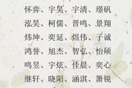 属狗寅时出生的男孩应该怎样起名，宜用什么字姓名