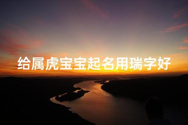 早上9点出生的属虎男孩怎么起名,用什么字姓名 早上9点出生的属虎男孩怎么起名,用什么字姓名