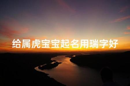 早上9点出生的属虎男孩怎么起名，用什么字姓名