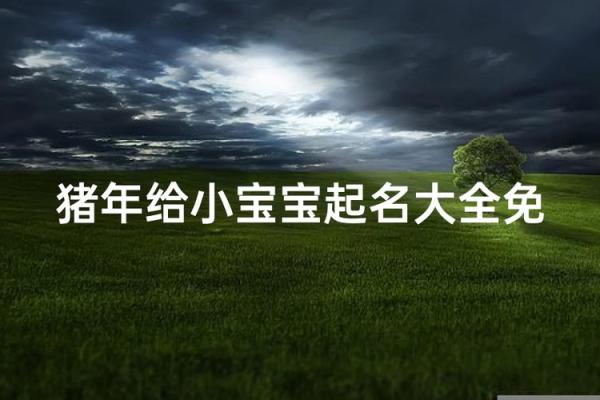 5月份出生的属猪男孩该怎么起名姓名