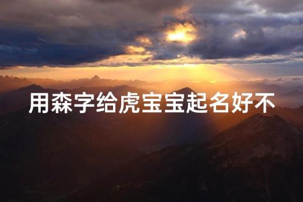 凌晨2点出生的属虎男孩如何起名，宜用什么字姓名