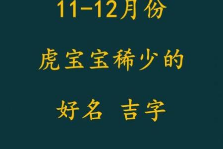 凌晨2点出生的属虎男孩如何起名，宜用什么字姓名