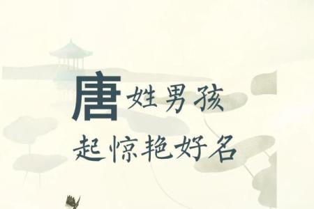 2019年3月18号午时出生的男孩如何起名姓名