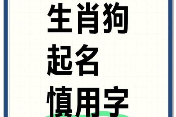 五月份出生的属狗男孩应该如何取名字姓名
