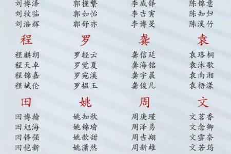 2018年腊八节出生的男孩取什么名字最合适？-华易网姓名