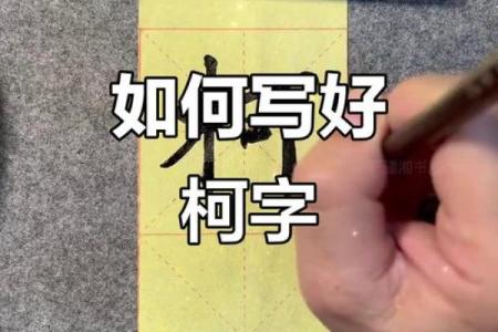 柯姓女孩名字大全-柯姓女孩起名字大全-柯姓名字大全姓名