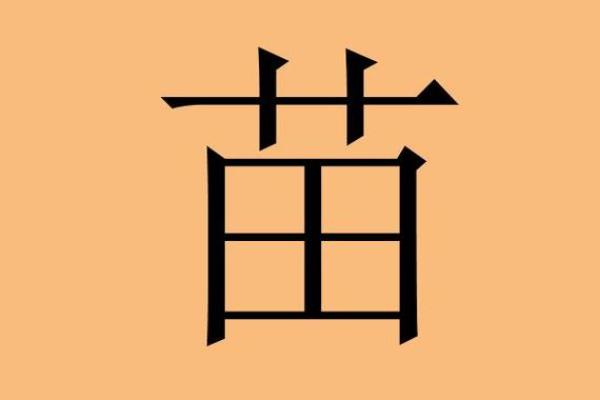 苗姓男孩名字大全-苗姓男孩起名字大全-苗姓名字大全姓名