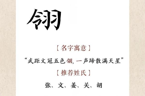 8月份出生的属兔男孩要怎样取名姓名