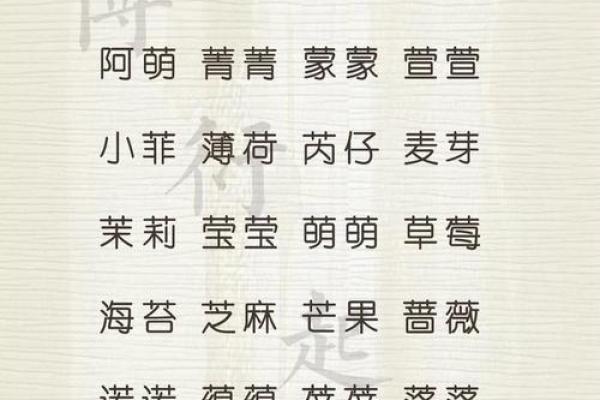 8月份出生的属兔男孩要怎样取名姓名