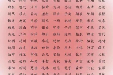 2019年3月24号子时出生的男孩应该起什么样的名字姓名