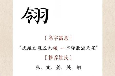 8月份出生的属兔男孩要怎样取名姓名
