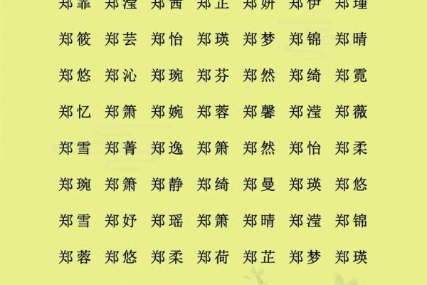 郑姓女孩名字大全-郑姓女孩起名字大全-郑姓名字大全姓名 郑姓女孩名字大全-郑姓女孩起名字大全-郑姓名字大全姓名