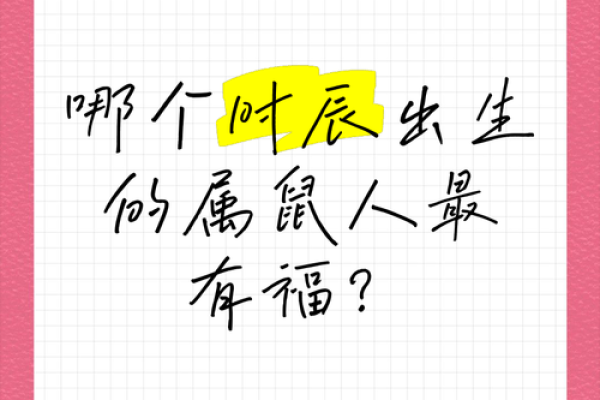 凌晨4点出生的属鼠男孩怎么样取名字姓名