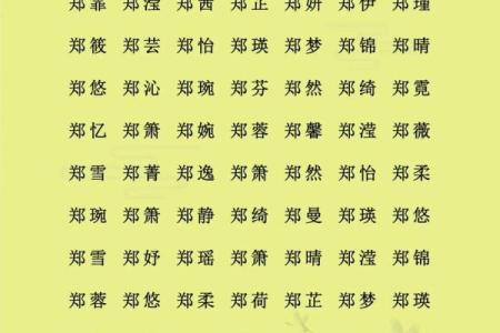 郑姓女孩名字大全-郑姓女孩起名字大全-郑姓名字大全姓名