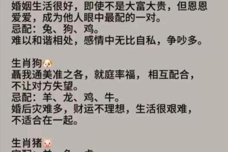 晚上10点出生的属鸡男孩用什么字取名字合适姓名