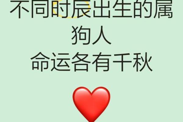 属狗子时出生的男孩该如何起名，宜用哪些字姓名