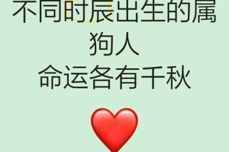 属狗子时出生的男孩该如何起名，宜用哪些字姓名