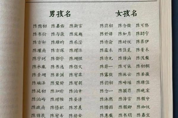 陈姓男孩名字大全-陈姓男孩起名字大全-陈姓名字大全姓名
