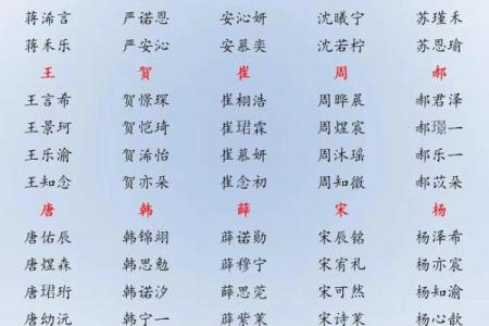 2019年3月23号巳时出生的男孩如何起名姓名