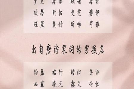 2019年5月16号卯时出生的男孩起名方法姓名