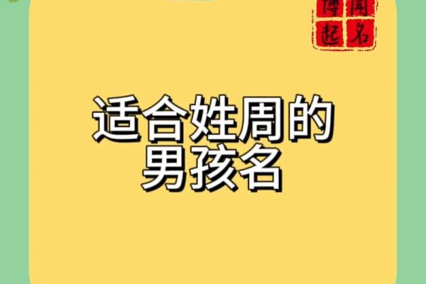 2019年出生的姓周女孩如何起名,宜用什么字姓名_1 2019年出生的姓周女孩如何起名,宜用什么字姓名_1