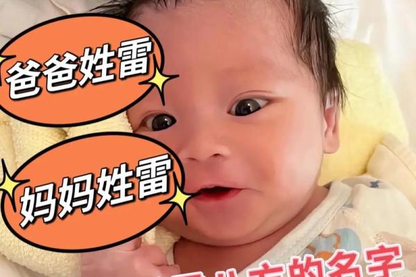 雷姓女孩名字大全-雷姓女孩起名字大全-雷姓名字大全姓名