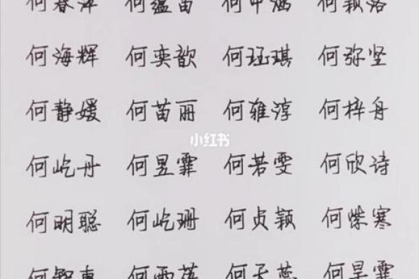 何姓女孩名字大全-何姓女孩起名字大全-何姓名字大全姓名 何姓女孩名字大全-何姓女孩起名字大全-何姓名字大全姓名