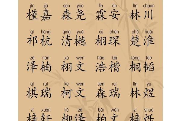 2019年3月24号卯时出生的男孩起名时要注意什么姓名 2019年3月24号卯时出生的男孩起名时要注意什么姓名