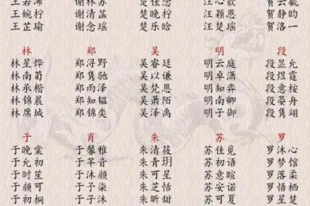 2019年3月20号酉时出生的男孩起名方法姓名