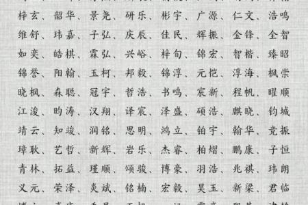 2019年出生的姓于男孩如何起名，宜用什么字姓名