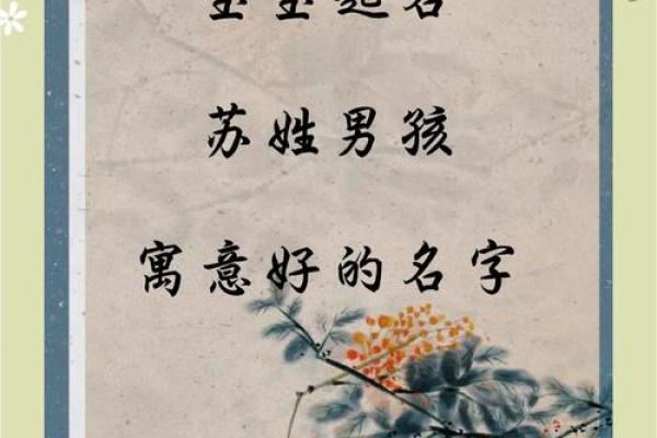 苏姓女孩名字大全-苏姓女孩起名字大全-苏姓名字大全姓名 苏姓女孩名字大全-苏姓女孩起名字大全-苏姓名字大全姓名