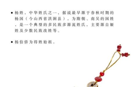 姓杨的名人-名人大全-姓名学-华易算命网姓名