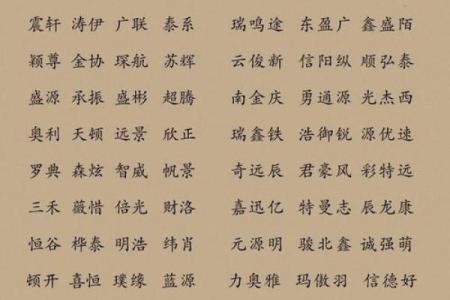 装饰公司名字-名字大全姓名