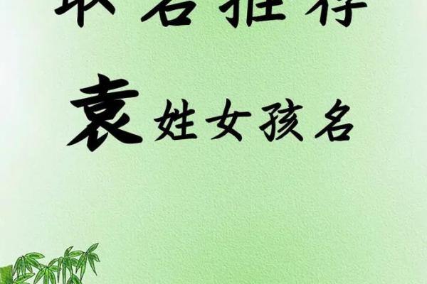 袁姓女孩名字大全-袁姓女孩起名字大全-袁姓名字大全姓名