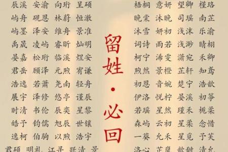 2019年5月20号寅时出生的男孩如何起名姓名