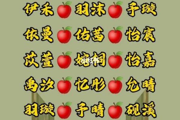 兔年女孩子起名字大全-兔年起名字姓名