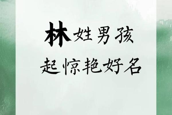 2019年6月14号寅时出生的男孩如何起名姓名 2019年6月14号寅时出生的男孩如何起名姓名