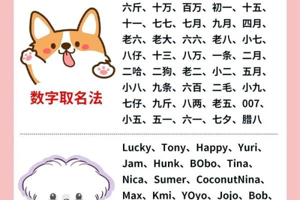 适合给属狗丑时出生的男孩取的起名,宜用字姓名 适合给属狗丑时出生的男孩取的起名,宜用字姓名