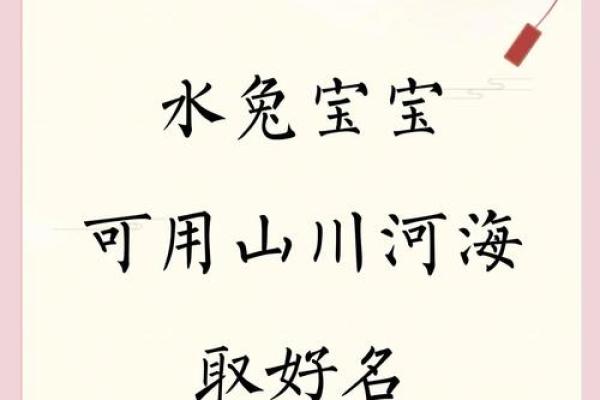 半夜出生属兔的男孩应该怎么样去名字呢姓名 半夜出生属兔的男孩应该怎么样去名字呢姓名